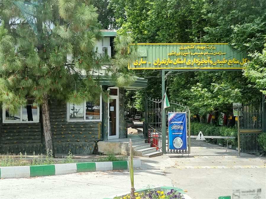 پادکستی برای درختان از دست رفته الیمالات
